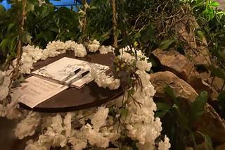 Cristina Salazar Wedding Planner - 69
