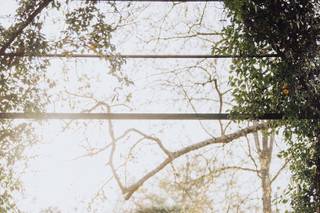 CRUphoto - 16