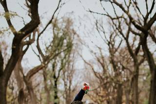 Katrin Albert Photography - 8