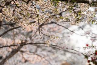 Matthew Pautz Photography - 15