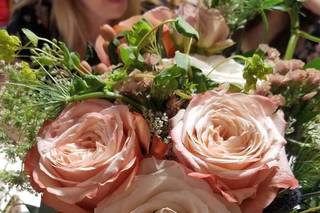 Sandra Nicole Designs - 18