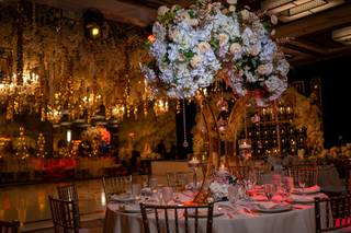 Evenings of Elegance - 8