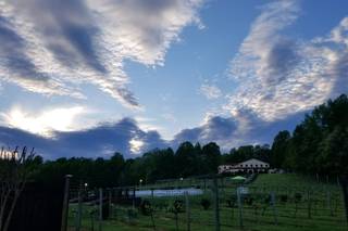 Running Hare Vineyard - 18