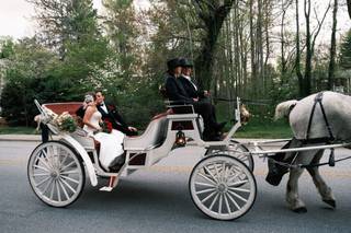 Carolina Horse and Carriage - 6