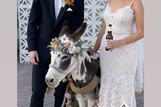 Haul N Ass Productions - 127