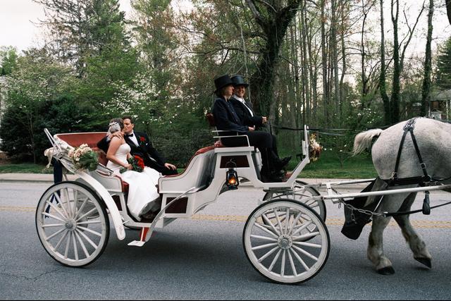 Carolina Horse and Carriage - 1
