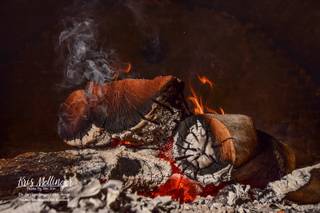 Curly Bear Productions / Photos By Miss Kris - 47