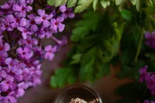 Zach Nichols Photography - 38