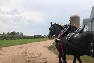 Cinderella Carriage LLC - 5