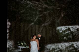Shelley Vinson Photography - 23