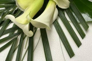 Jax Design Inc. - 22