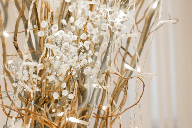 Janessa Lopez Events - 4