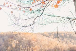 Wild North Weddings - 43