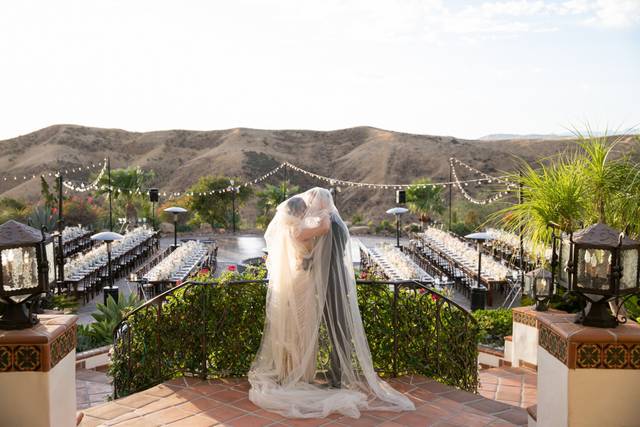 Michael Segal Photography 2