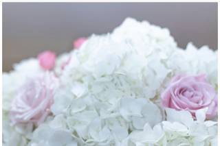 Le Chateau de Crystale Events - 15