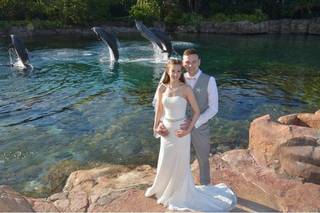 Discovery Cove, Orlando - 37