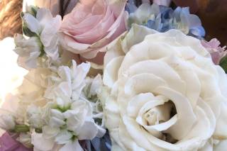 Fukushima Flowers - 12