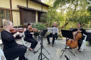Sutro String Quartet - 9