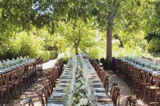 Lauren Miller Events - 46