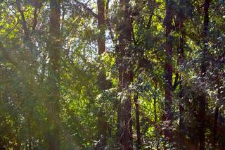 Villa Chanticleer - 20