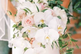 Ashley Rae Photography - 27