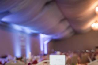 Bloom & Vine Wedding and Event Flowers - 10