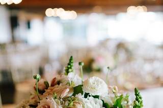 Zelo Photography - 8