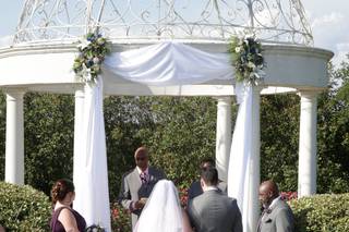 Violet and Dottie Florals - 14