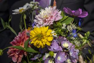 Folls' Flowers - 74