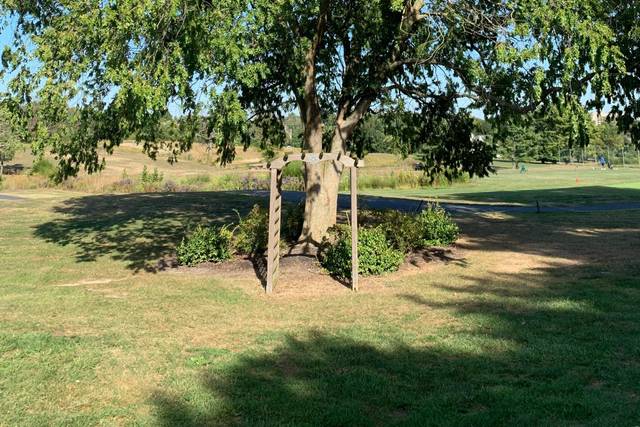 Ed Oliver Golf Club 3
