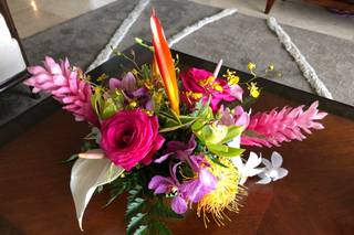Fukushima Flowers - 71