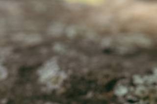 With These Rings - 15