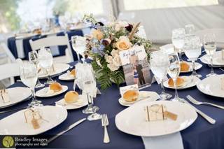 Bradley Images, inc. - 22