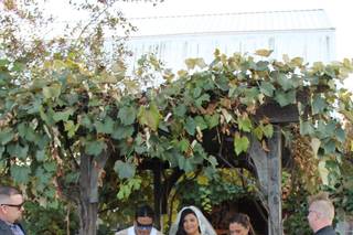 Becker Farms and Vizcarra Vineyards - 27