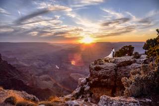 Heather Kadar Photography - 22