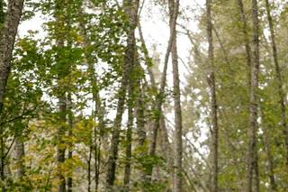 Emily Keeney Photography - 10