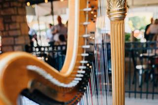 Miriam Weber Brown, Harpist - 8