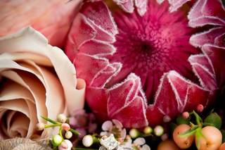 Jeanize Cilliers Photography - 6