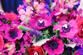 Photography By Grace Kathryn - 12