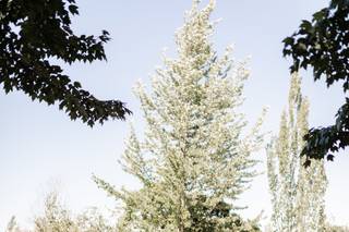 The Flowering Fern Wedding & Event Planning - 9