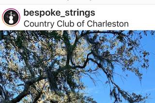 Bespoke Strings, LLC - 6