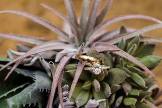 Andrea Krout Photography - 48