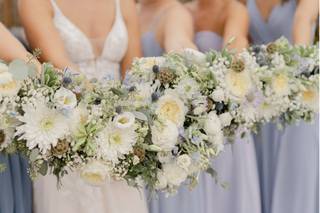 Thistle Bee the Florist - 22
