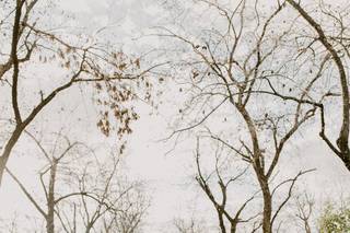 Caitlin Audrey Photography - 10