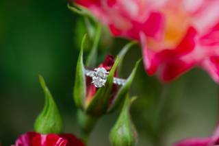 Katy Murray Photography, LLC - 16