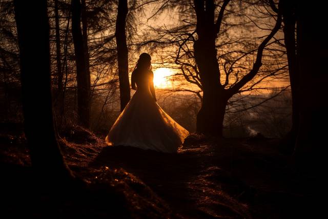 Todd Graham Photography 4