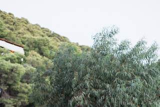 Sandy and Odysseas Photography - 57