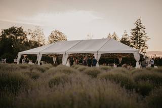 Aspen & Cedar - 14