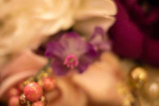 Tashena Shaw Photography - 40