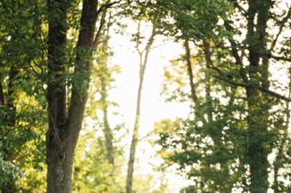 Ryan Sands Photography - 13
